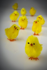Easter hen