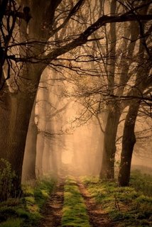 Walking Alone